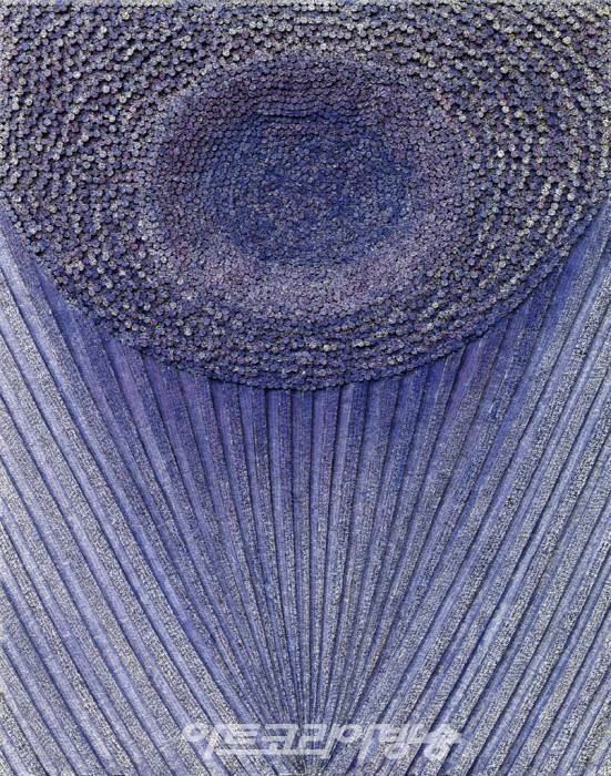 내가 찾은 꽃길5