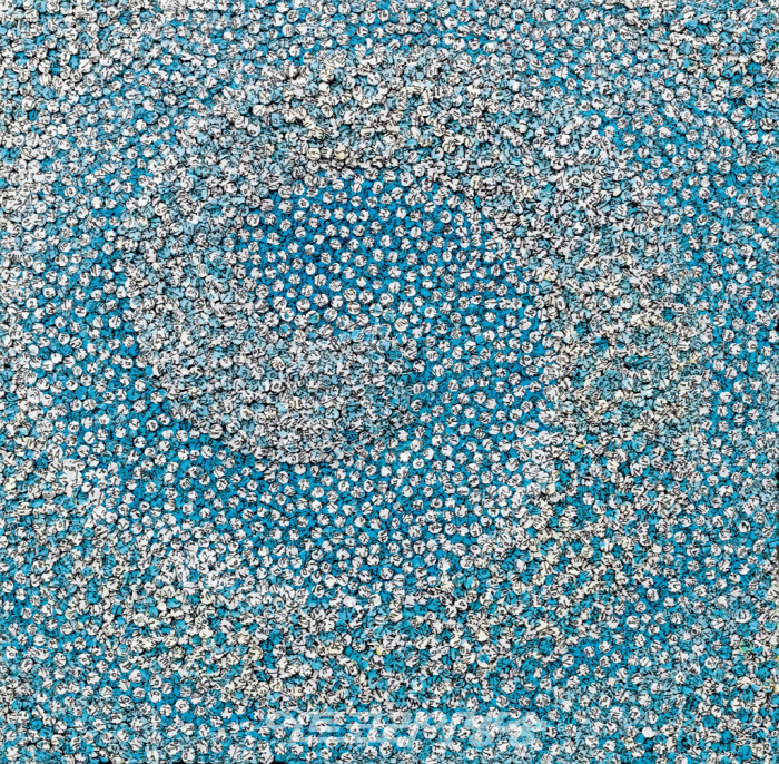 내가 찾은 꽃길6