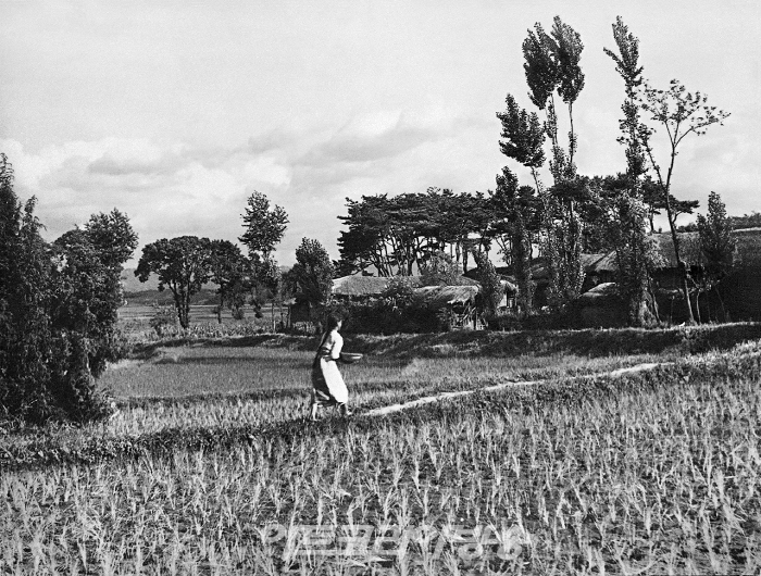 정해창 사진전 '살롱픽춰'