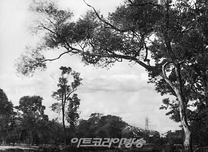 정해창 사진전 '살롱픽춰'