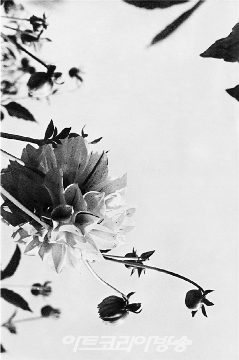 정해창 사진전 '살롱픽춰'