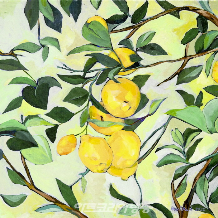 백하리 개인전 ‘계절의 사이에서’-Lemons