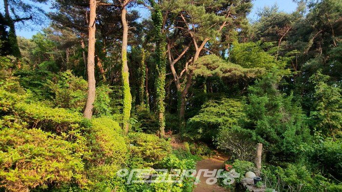 ‘자연과 사람은 한 몸 양산 도자기공원’의 아름다운 경치를 담다