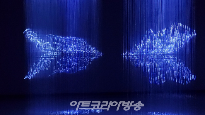 제주청년작가 3인전 '연리목(連理木)을 보다'-강태환