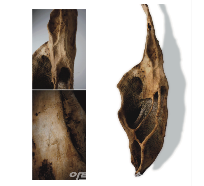 제주청년작가 3인전 '연리목(連理木)을 보다'-김규리