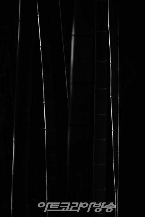 원춘호 흑백사진전 '죽림설화-竹林說話’