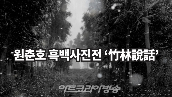 원춘호 흑백사진전 '죽림설화-竹林說話’