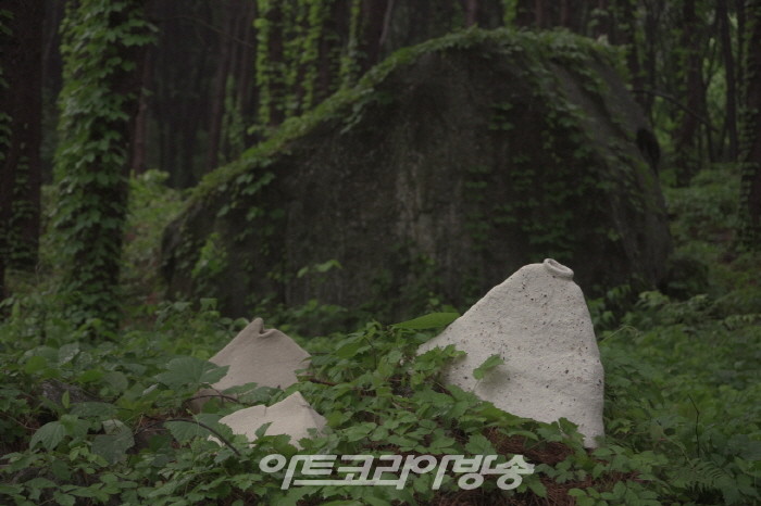 심다은 개인전 '인간의 암석 Humanrock'