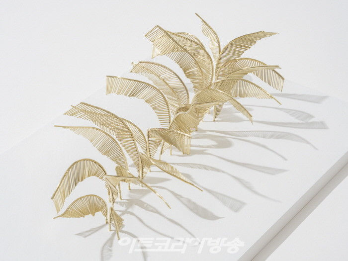 1600_박소연_감각 기관 Sensory organs_2, 2023