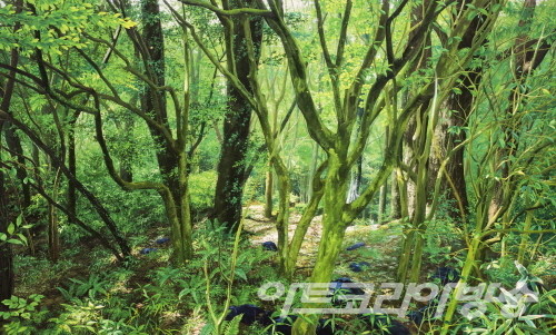 류재현 作_breath of wind2023016_97x162.2cm_oil on canvas_2023 · Let’s Forest 2023, 서울