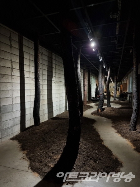 정창이, 오종현, 이기라, 금보성 作_산불피해 지역 동해 숲 재현 · Let’s Forest 2023, 서울