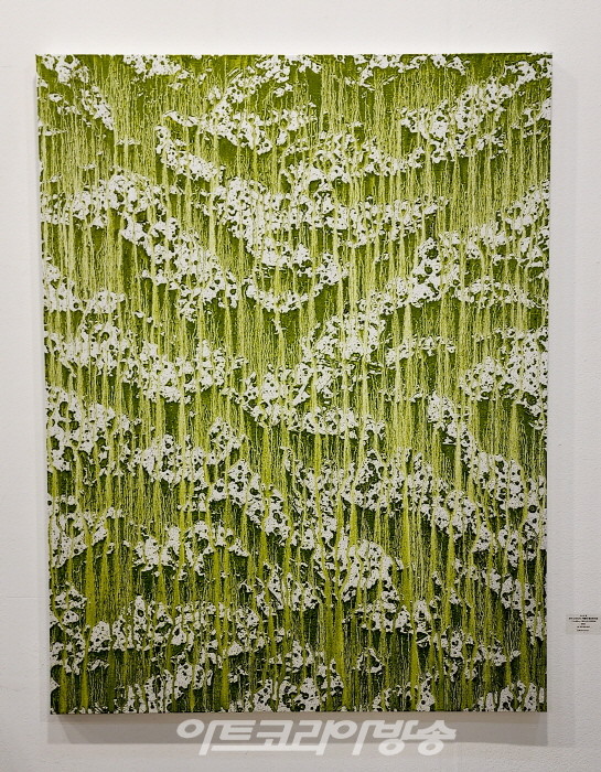 채성필-익명의 땅