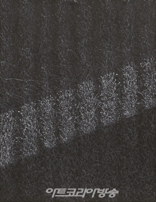 김대일 개인전 '꿈 Dreams'