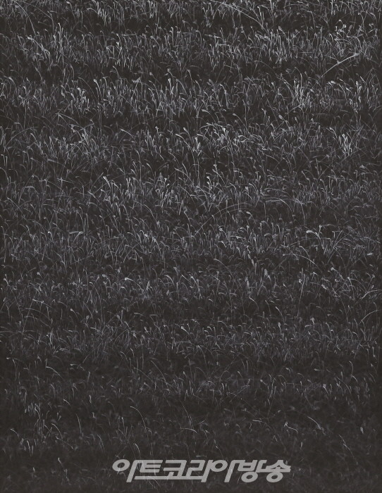 김대일 개인전 '꿈 Dreams'