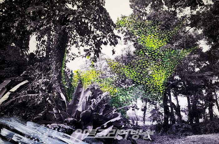 조애리 개인전 ‘초월의 메아리’