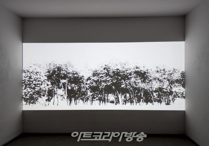 조애리 개인전 ‘초월의 메아리’