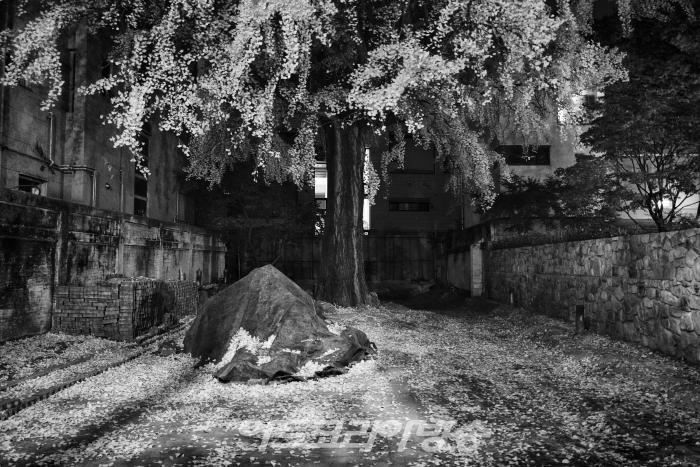 #05 서울, 2022년 11월