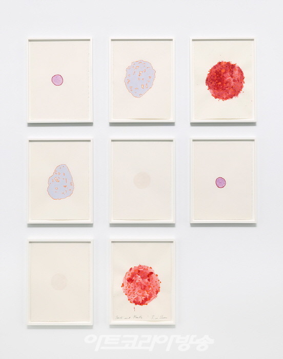 로니 혼(b. 1955)〈Frick and Fracks〉2018-2022Gouache, and/or watercolor on Arches paper8 units, each 38.1 x 27.9 cmCourtesy of the artist and Kukje Gallery