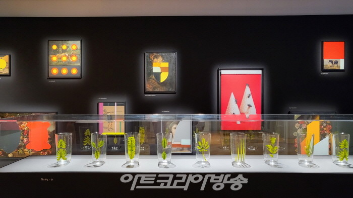 'Now is Better' 일본전시 사진-©스테판사그마이스터