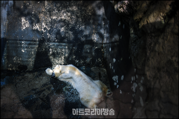 망종, 대전동물원, 2012