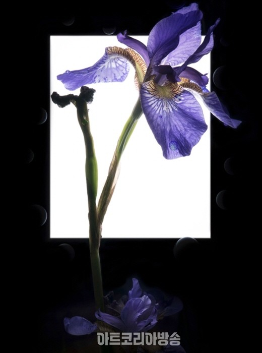 박상훈, 화양연화