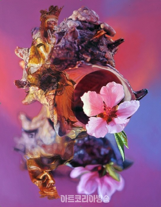 Resonance-Meditation2 91.0×116.8cm Oil on Canvas 2023