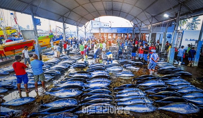 Pearl of the East Sri Lanka Palrk DaeByung