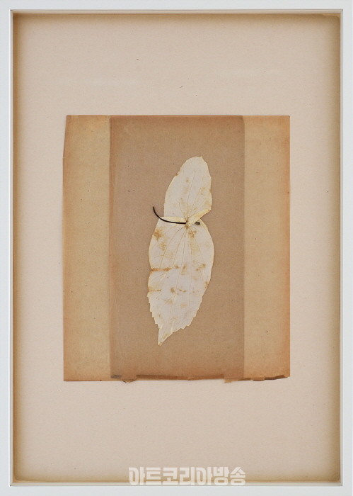 최재은(b. 1953) 〈From Tear Garden〉2016Aged paper, petal28 x 23 cm Courtesy of the artist and Kukje Gallery이미지 제공: 국제갤러리