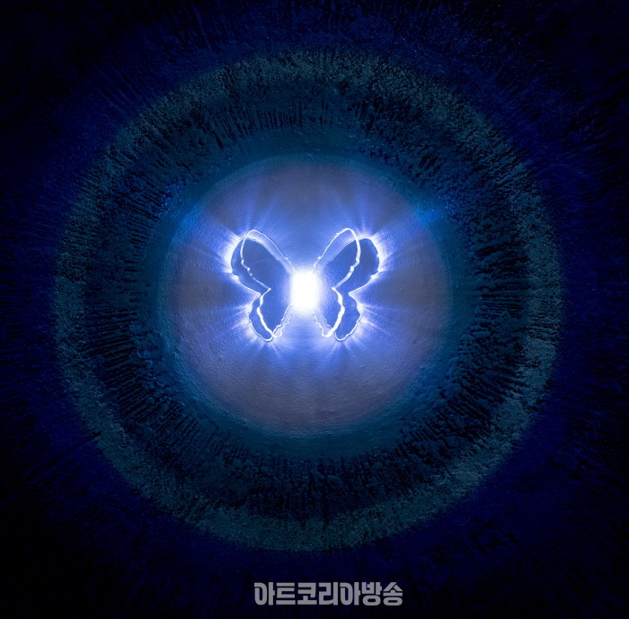 나비 킴 작가 언터뷰-2024 화랑미술제