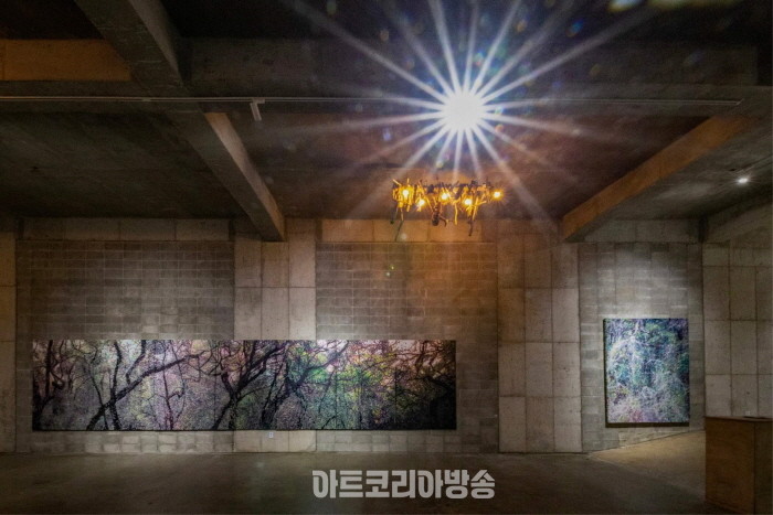 올미아트스페이스 홍일화 부스전 '2024 화랑미술제