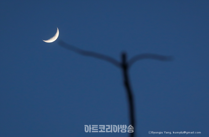 초승달과 나뭇가지. 2020