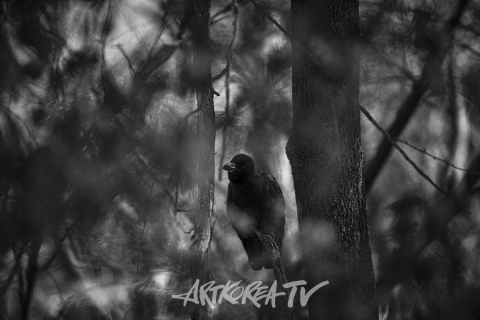 [초연하 사진평론] 다가오는 풍경, 떠오르는 사진-이한구 사진작가-오대산 적멸보궁 2020