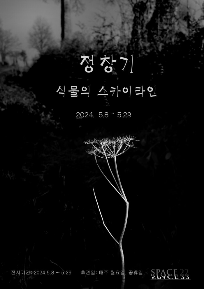 정창기 사진전 "식물의 스카이라인"