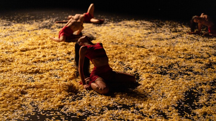 조혜정 안무_'갈라테이아' ⓒ잔나비와묘한계책