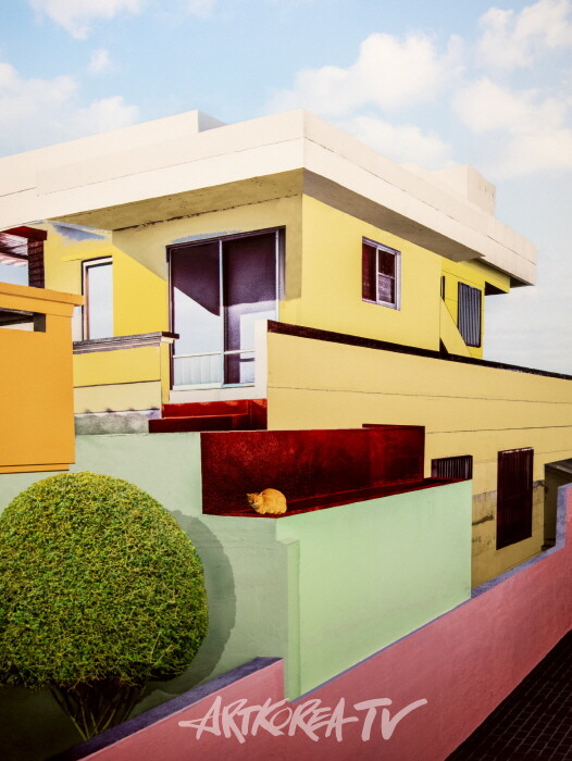 기억의 집-고양이와 이층집