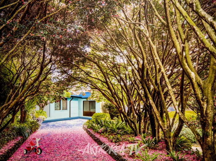 핫 이슈, 성수동 갤러리 스테어 '김혜정 관장' 인터뷰