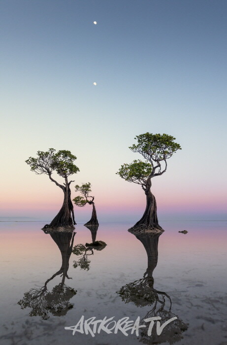 김석은 초대전 '바다 위 나무가족 이야기 展'