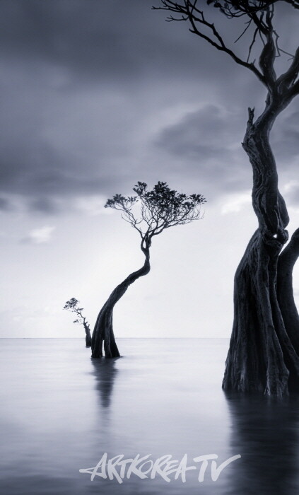 김석은 초대전 '바다 위 나무가족 이야기 展'