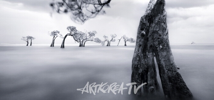 김석은 초대전 '바다 위 나무가족 이야기 展'