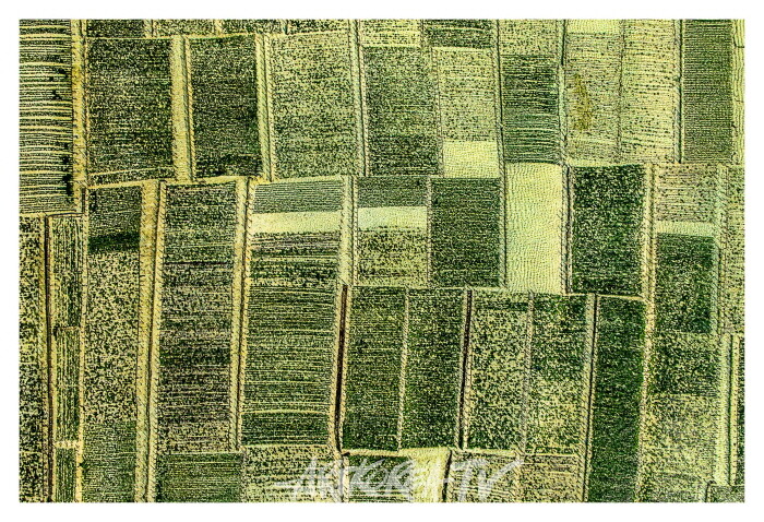 김동필 개인전 '생(生).명(命).터(攄)'