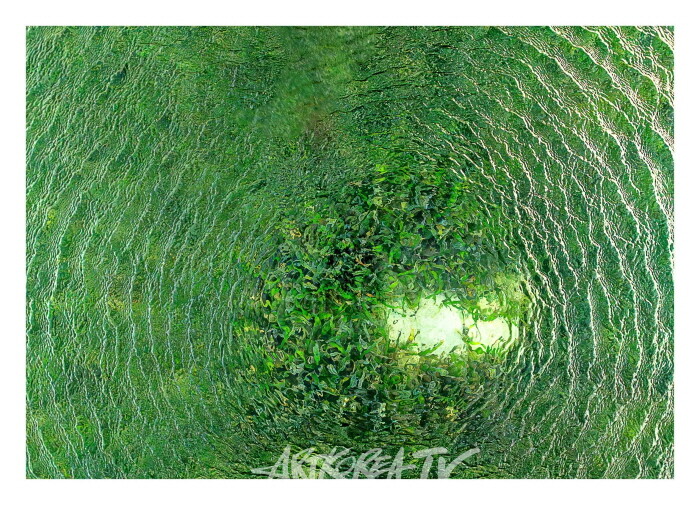 김동필 개인전 '생(生).명(命).터(攄)'