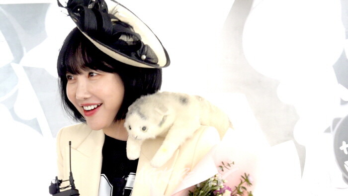 Nancy Lang, 팝아트 고양이 'Bubble Coco'