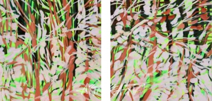 바람, 202415(좌), 바람 202416(우), acrylic and oil on canvas, 90×90(cm), 2024