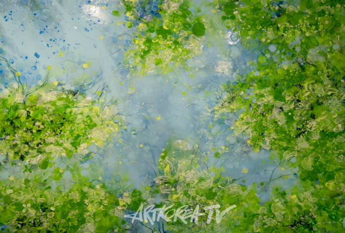 박정희 개인전 '기억의 재탄생'