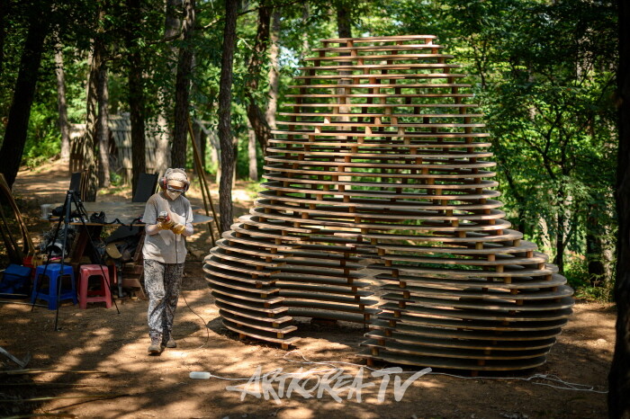 에마누엘라 카마치 (이탈리아)_벌집