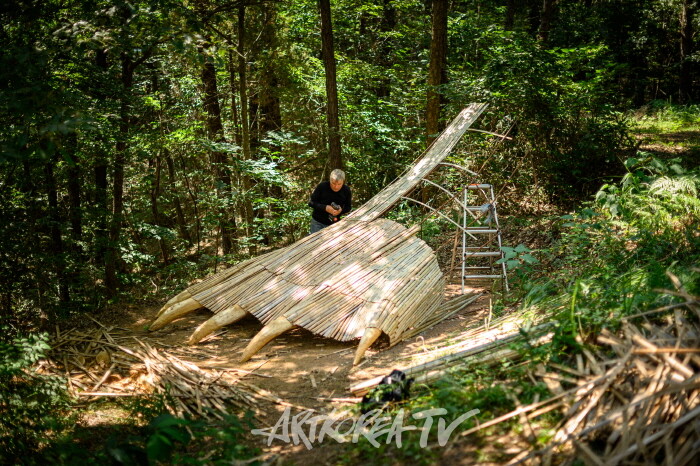 피터 팔 (루마니아)_곰 발 셸터