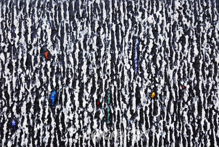 (이승우) Cosmos(탈질서)