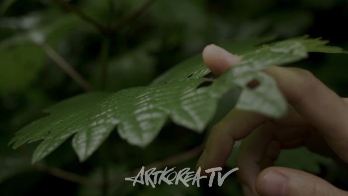 박한나, 긴어둠의터널_04_34, 단채널 비디오, 7분 40초,2023-2024(1)