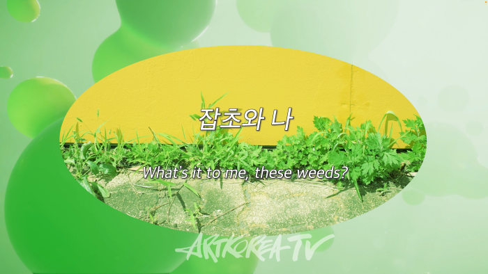 박한나, 잡초와 나_00_39, 단채널 비디오, 12분 30초, 2024