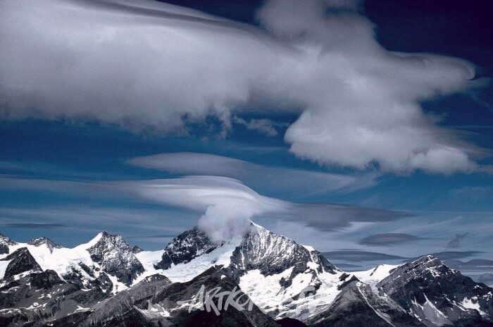 임진각 촬영회 코리안드림1000만 캠페인 부대행사